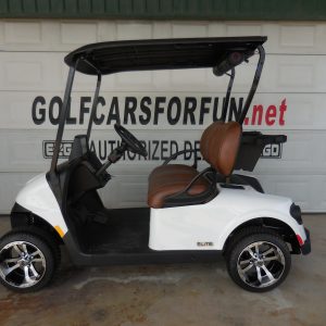 2026 RXV Elite 2-Passenger - White